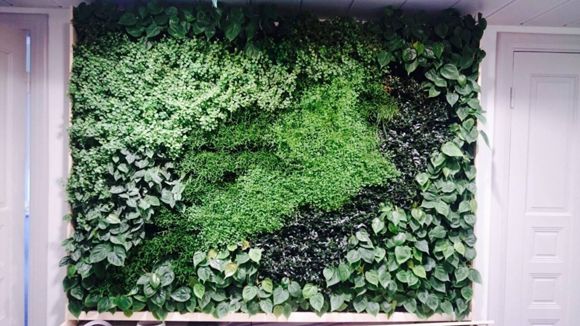 Images InnoGreen Turku