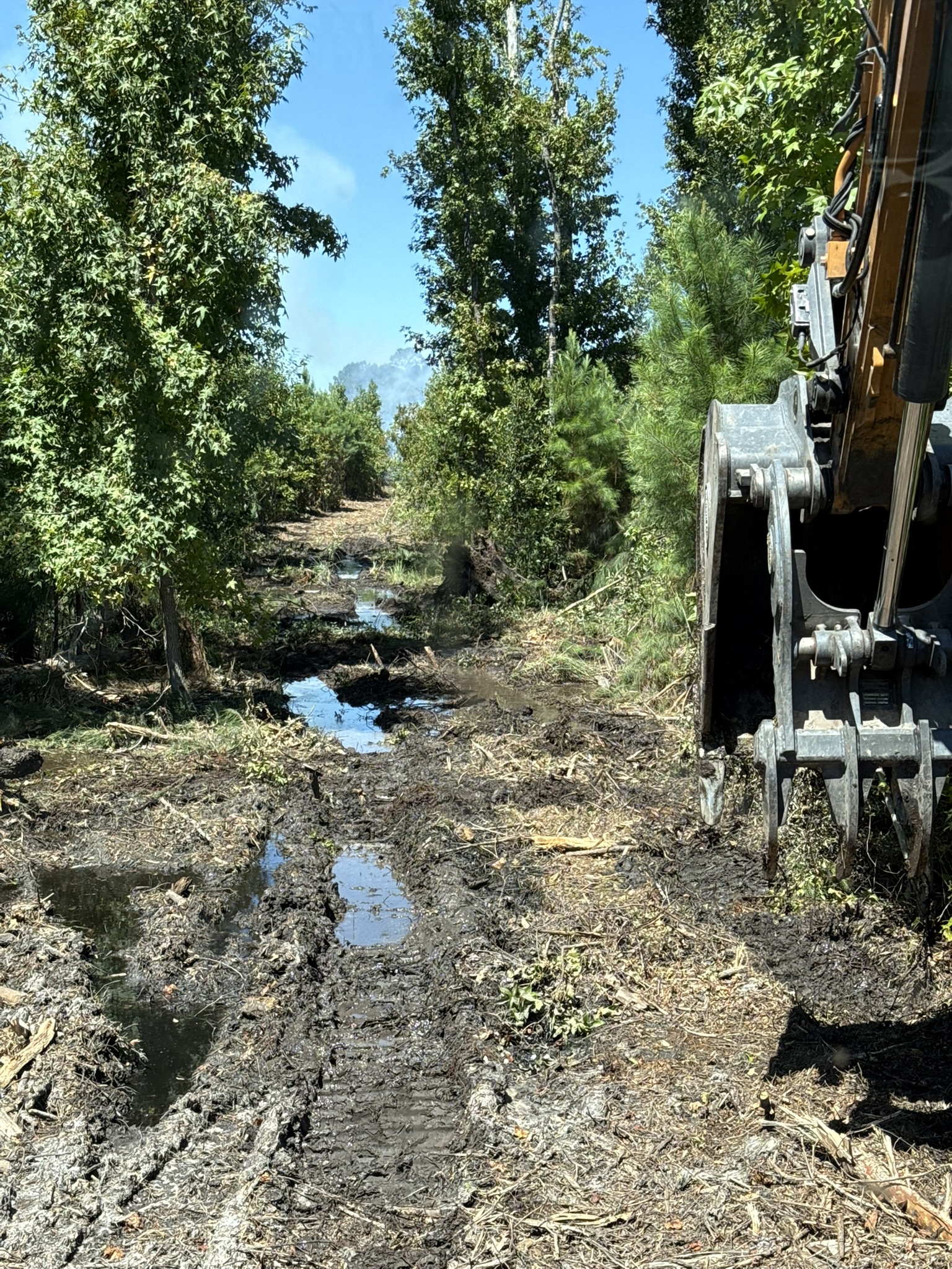 Photo of an excavator clearing vegetation and debris near a wet or low-lying drainage area on a wooded property.