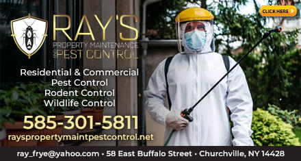 Images Ray's Property Maintenance and Pest Control