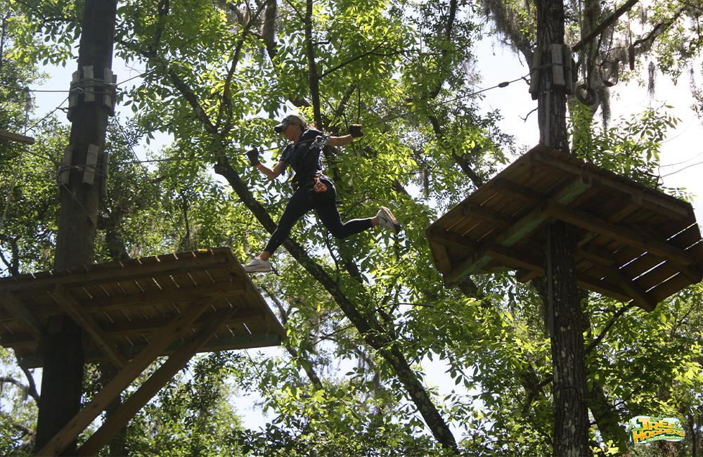 Jump across platforms at TreeHoppers TreeHoppers Aerial Adventure Park Dade City (813)381-5400