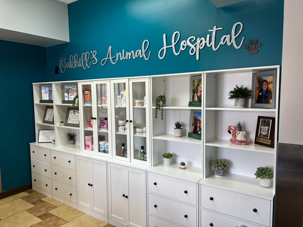Images VCA Oak Hills Animal Hospital