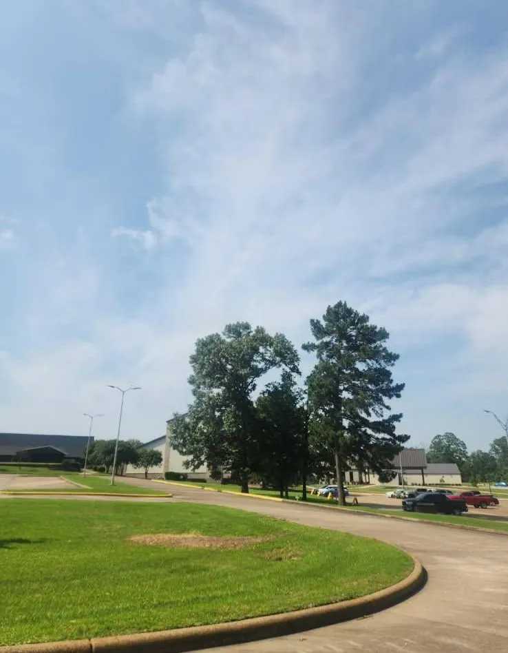 Wilson Fellers Tree Service Image