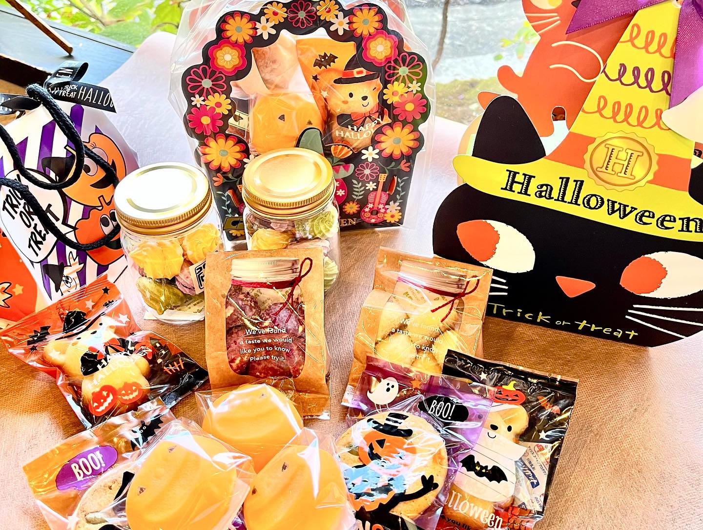 Images 一乗寺中谷