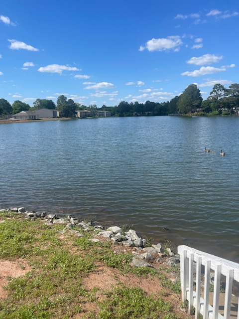 Images Lake Vista