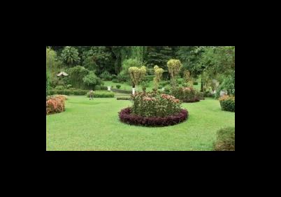 Images Crotti Giardini