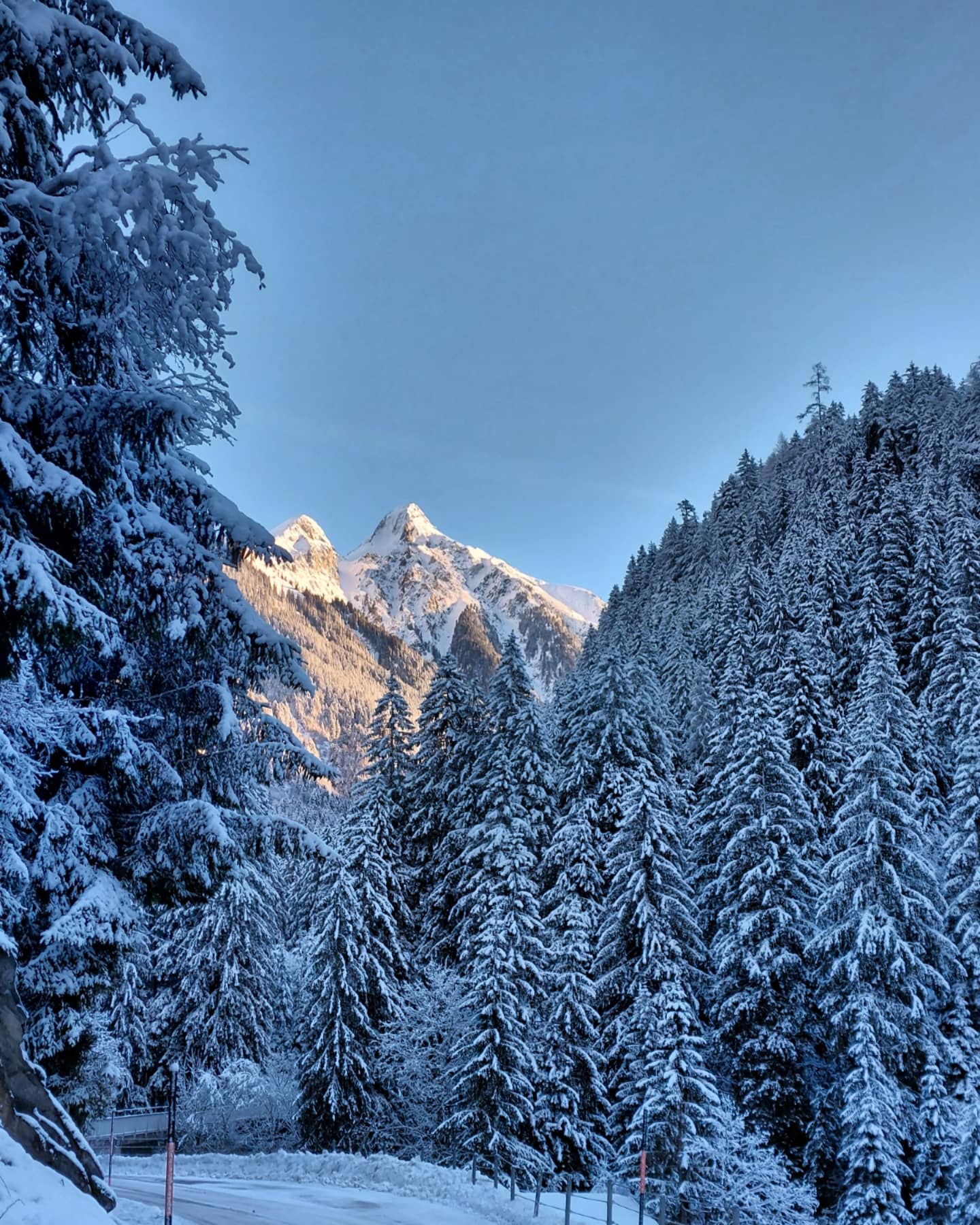 Bild 1 von Gasthaus Häusling Alm