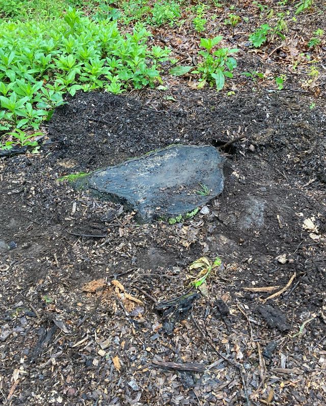 Images Precision Stump Grinding