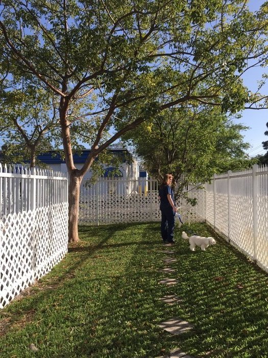 Fenced play area for boarding dogs VCA Stirling Square Animal Hospital Hollywood (954)947-6331