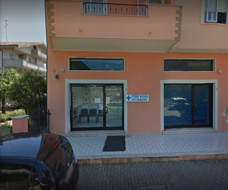Images Ambulatorio Veterinario Rosini Dott. Emidio
