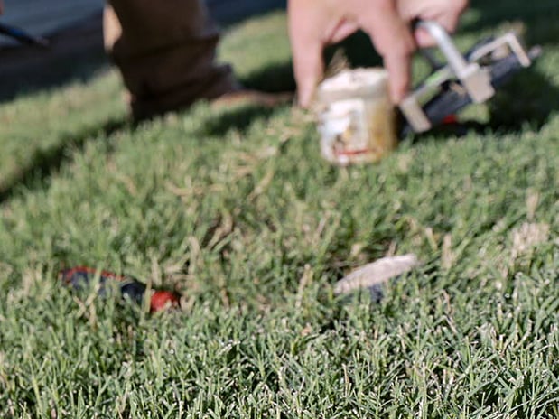 Images Pest Magic, LLC