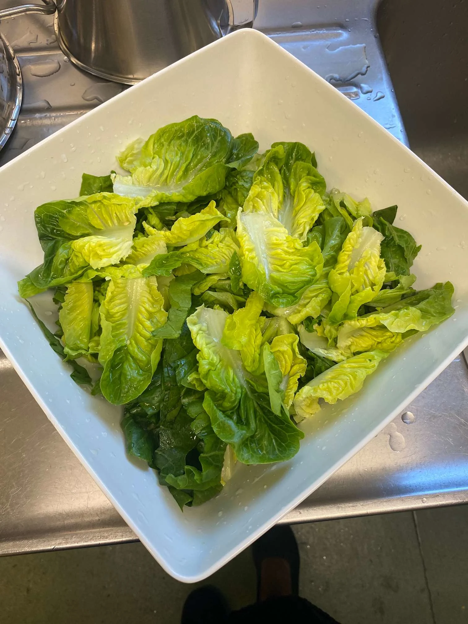 Images E H Scott Catering Services
