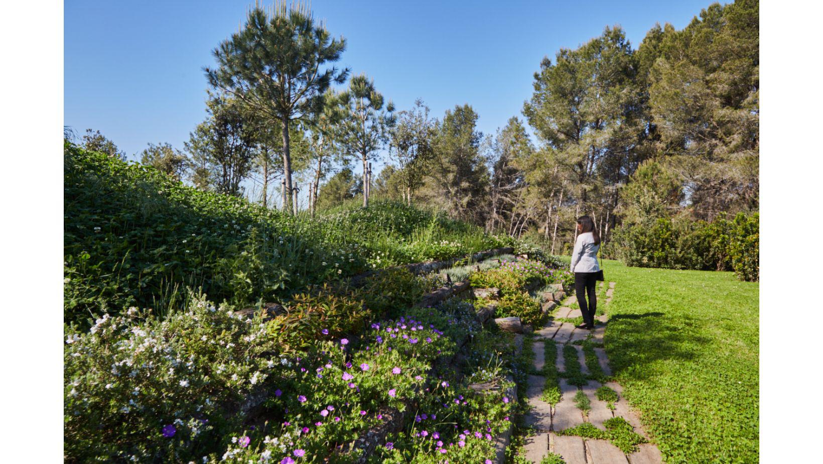 Cementiri Comarcal Roques Blanques 79