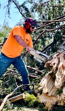 Images Snyder's Tree Service