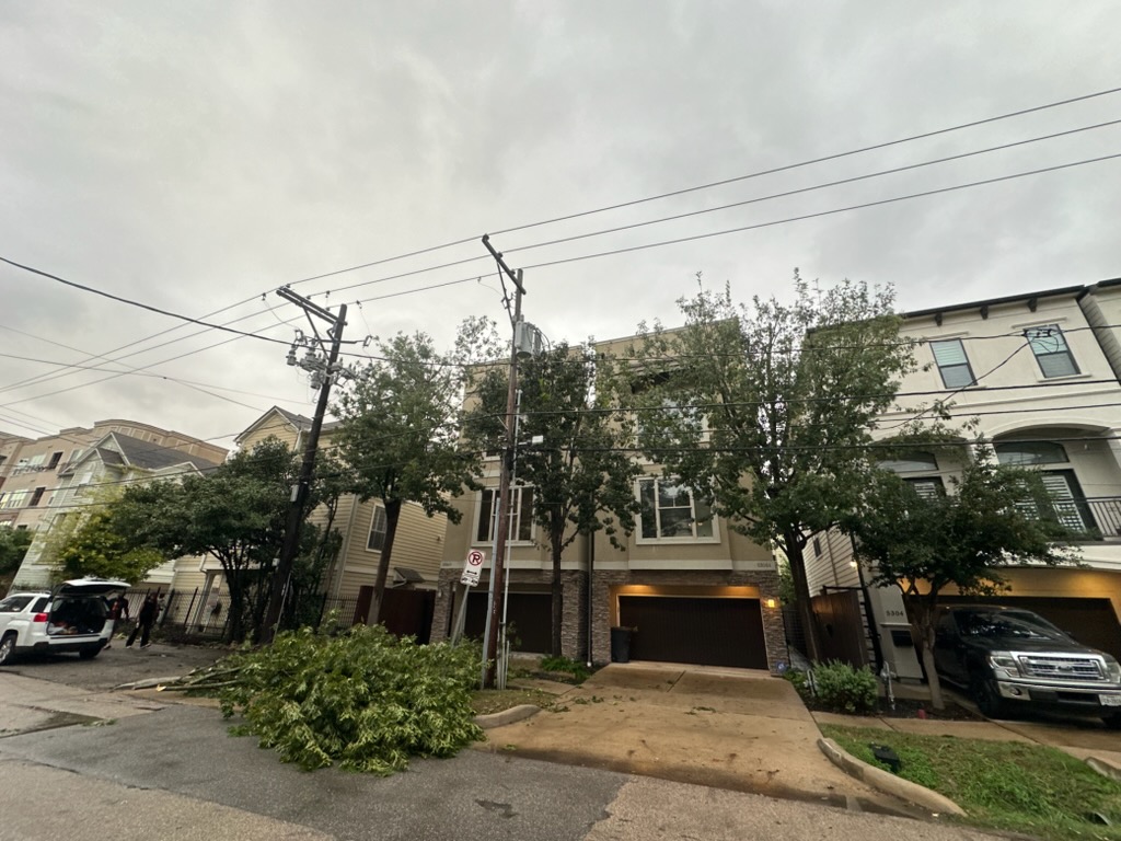 Cruz Professional Tree Services Image