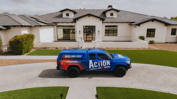 Images ACTION Termite & Pest Control