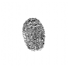 Independent Fingerprint Consulting Inc Logo