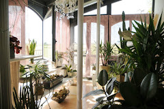 Images Fiorista in Fiore