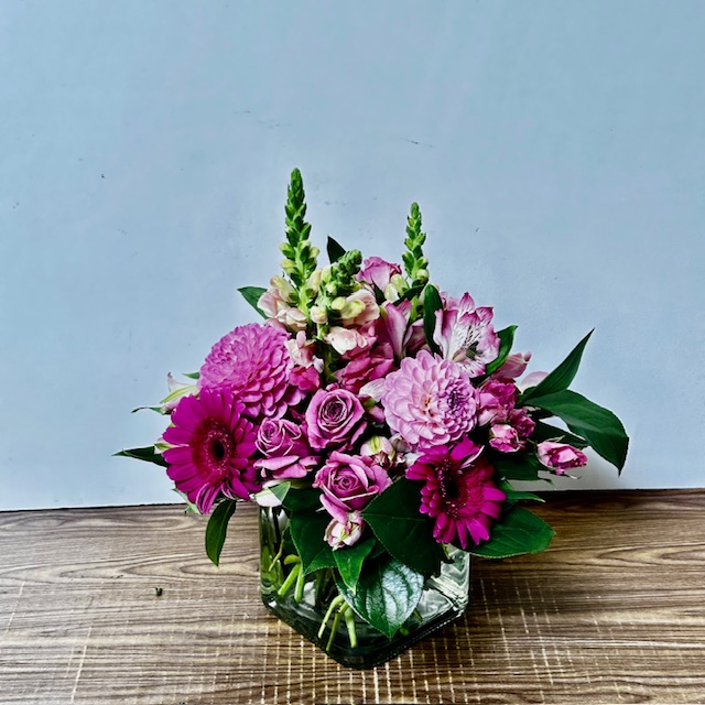 Images Jane's Roses & Flowers
