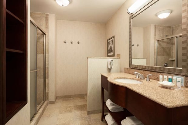 Images Hampton Inn & Suites Washington-Dulles International Airport