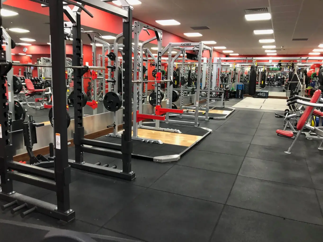 Squat Racks