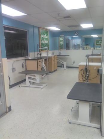 Images Petco Grooming