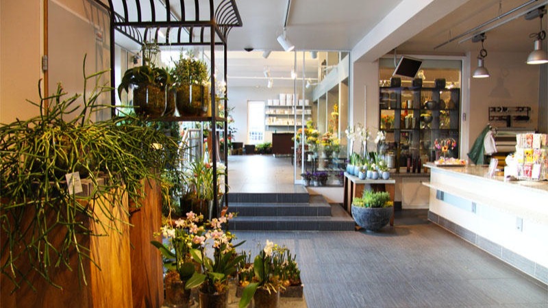 Bild 1 von Blumen Schonsky