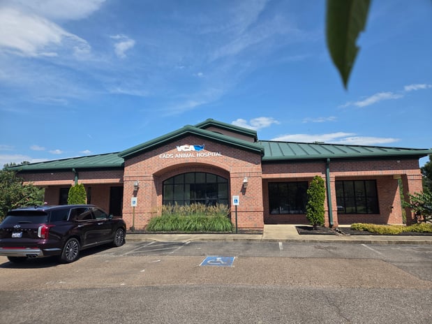 Images VCA Eads Animal Hospital