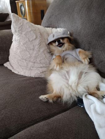 Images Debbie Allen - State Farm Insurance Agent