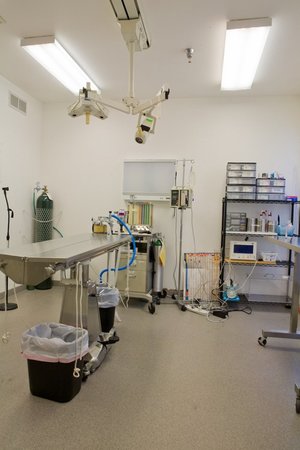 Images VCA Mountainview Animal Hospital & Pet Lodge