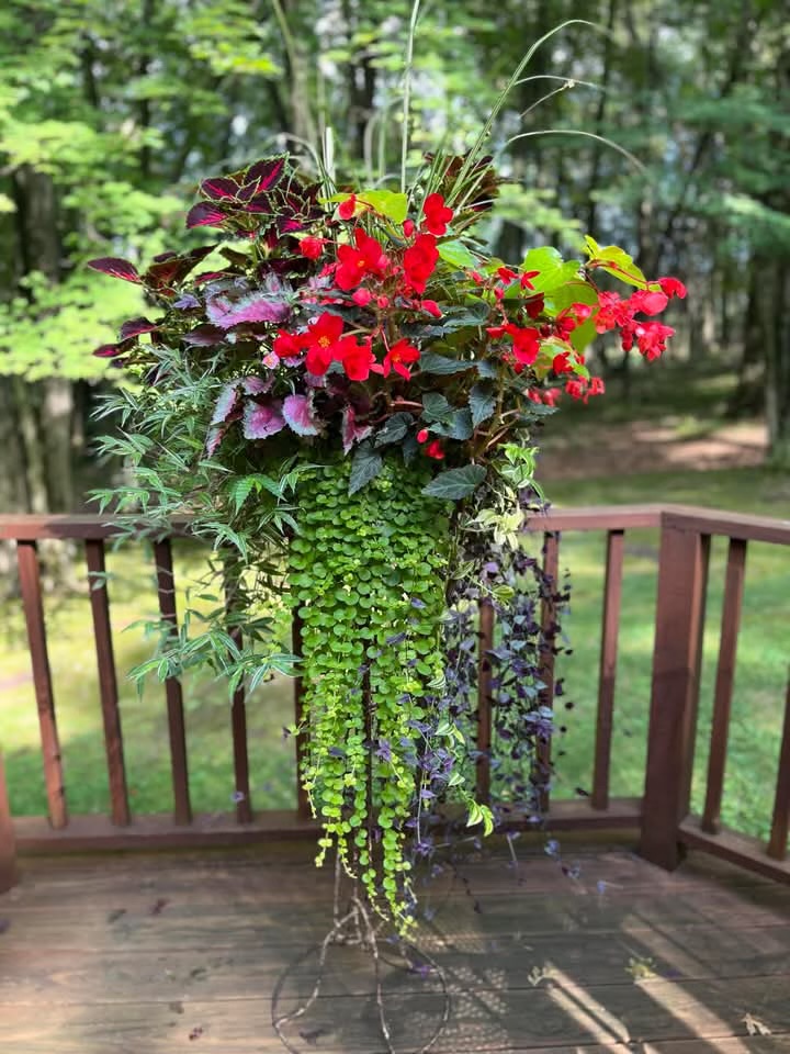 The Flower Shoppe Greenhouse Image