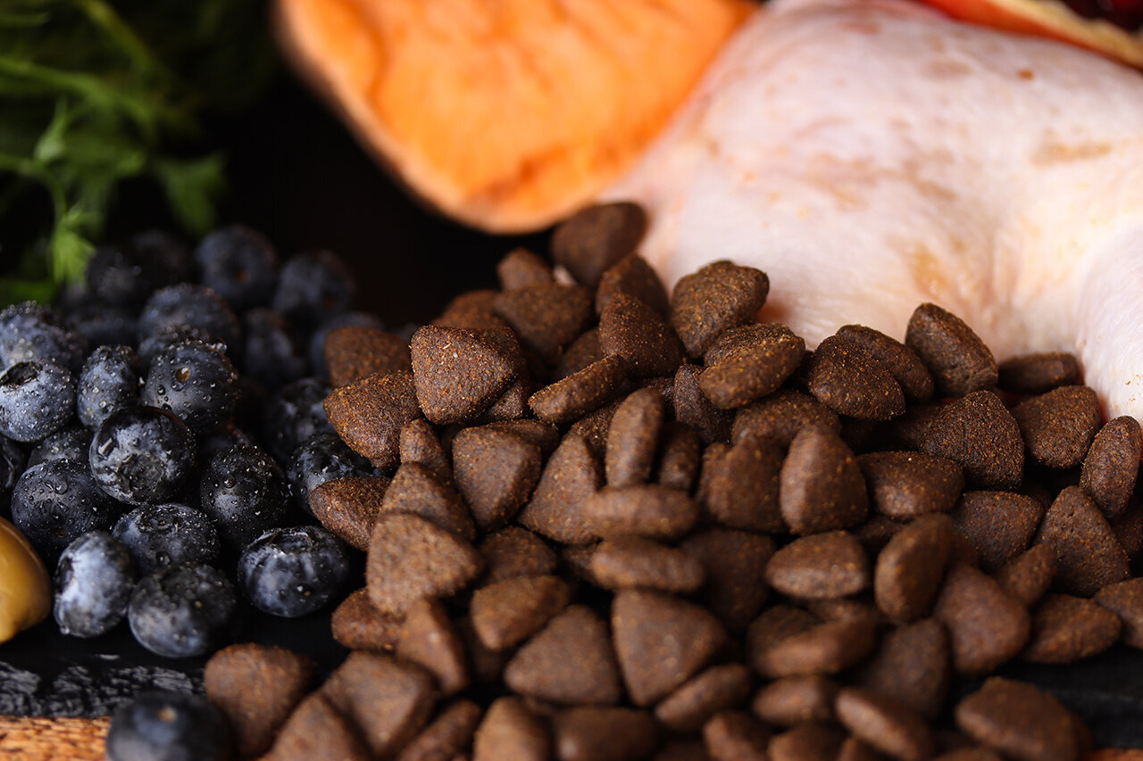 Bilder Green Pet Shop