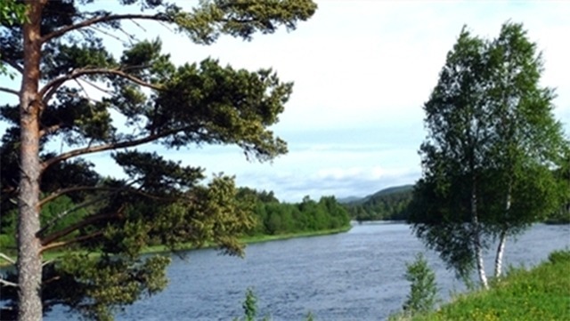 Images Skogsmäklarna i Värmland