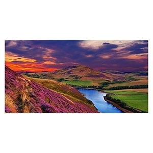 Fischer Omnibusreisen GmbH & Co. KG, Am Wasserrain 4 in Weilheim