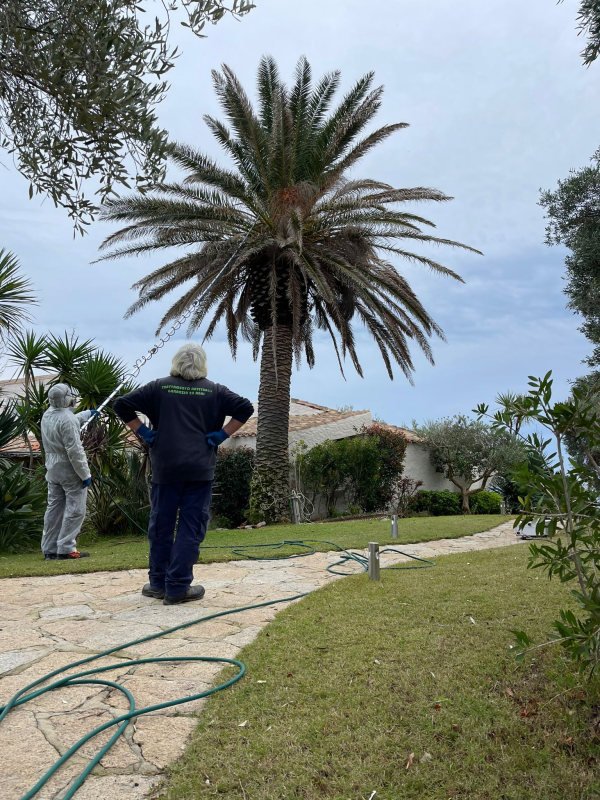 Images Disinfestazioni Ambientali Bachisio Carta