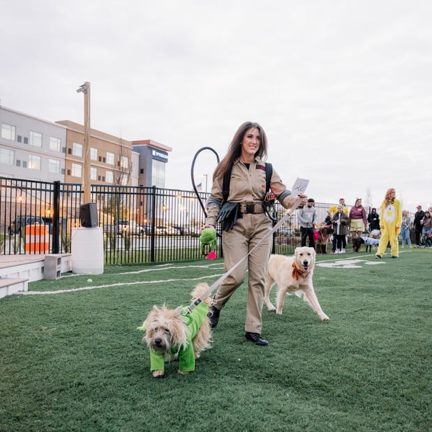 Images Crate Escapes Dog Park + Bar