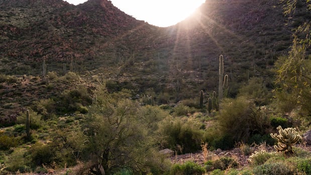 Images Toll Brothers at Adero Canyon