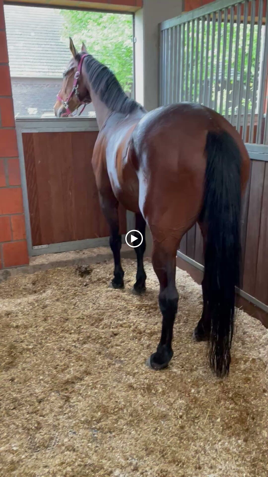 NANO Center CellCare therapie Bioresonanz Daniela Siegmund in Essen