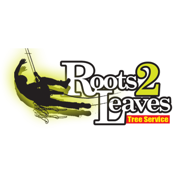 Roots 2 Leaves Tree Services Pty Ltd - Swan Reach, VIC 3909 - 0409 506 958 | ShowMeLocal.com