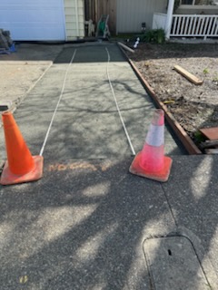 Francisco's Gardening and Maintenance Image