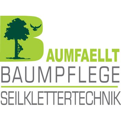 BAUMFAELLT - Baumpflege - Seilklettertechnik in Hohenburg - Logo