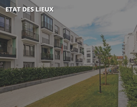 Images ML Diag Immobilier