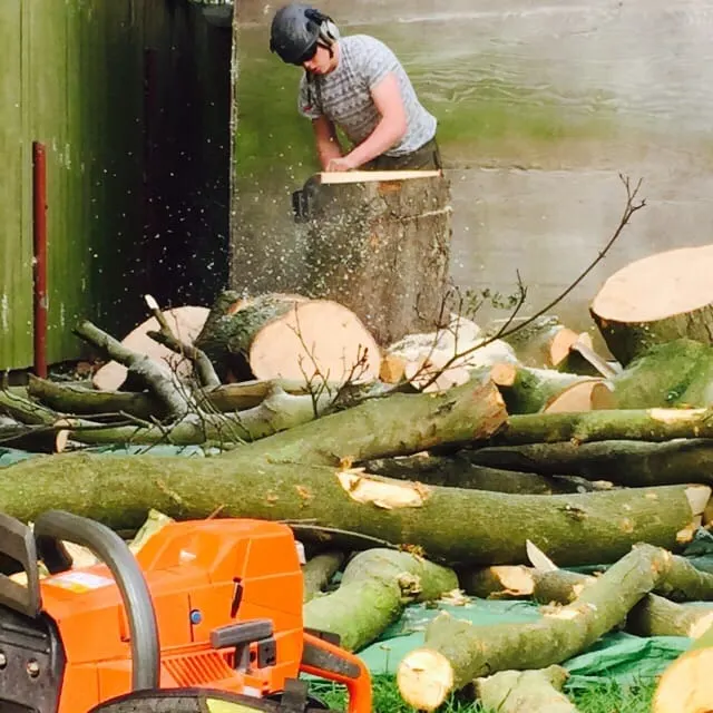 Images Poplar Tree Services Ltd