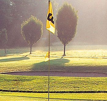 Golf flag Optik  | Söhnges Exklusiv-Optik GmbH | München