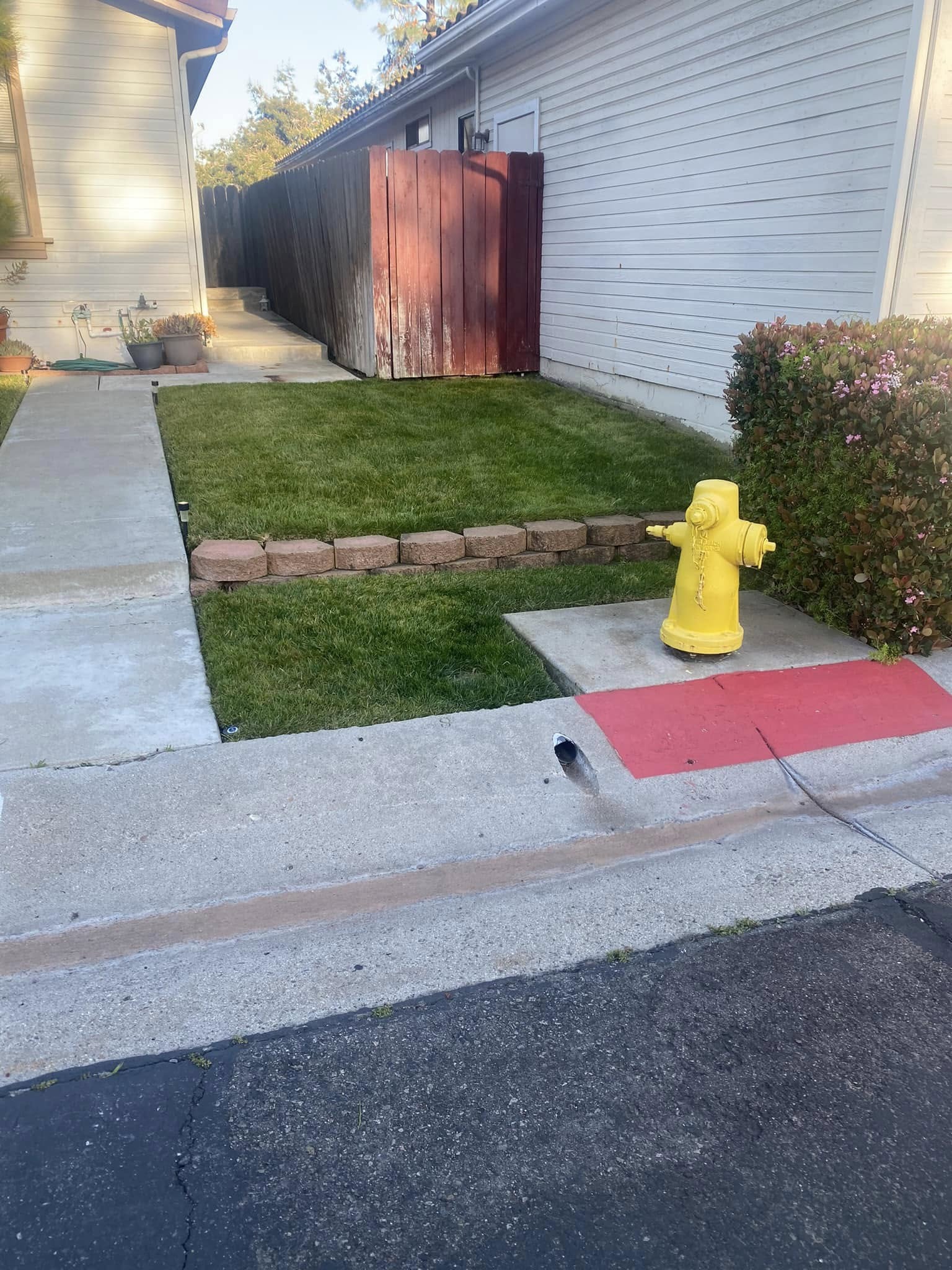 Francisco Landscaping & Construction - lawn care 