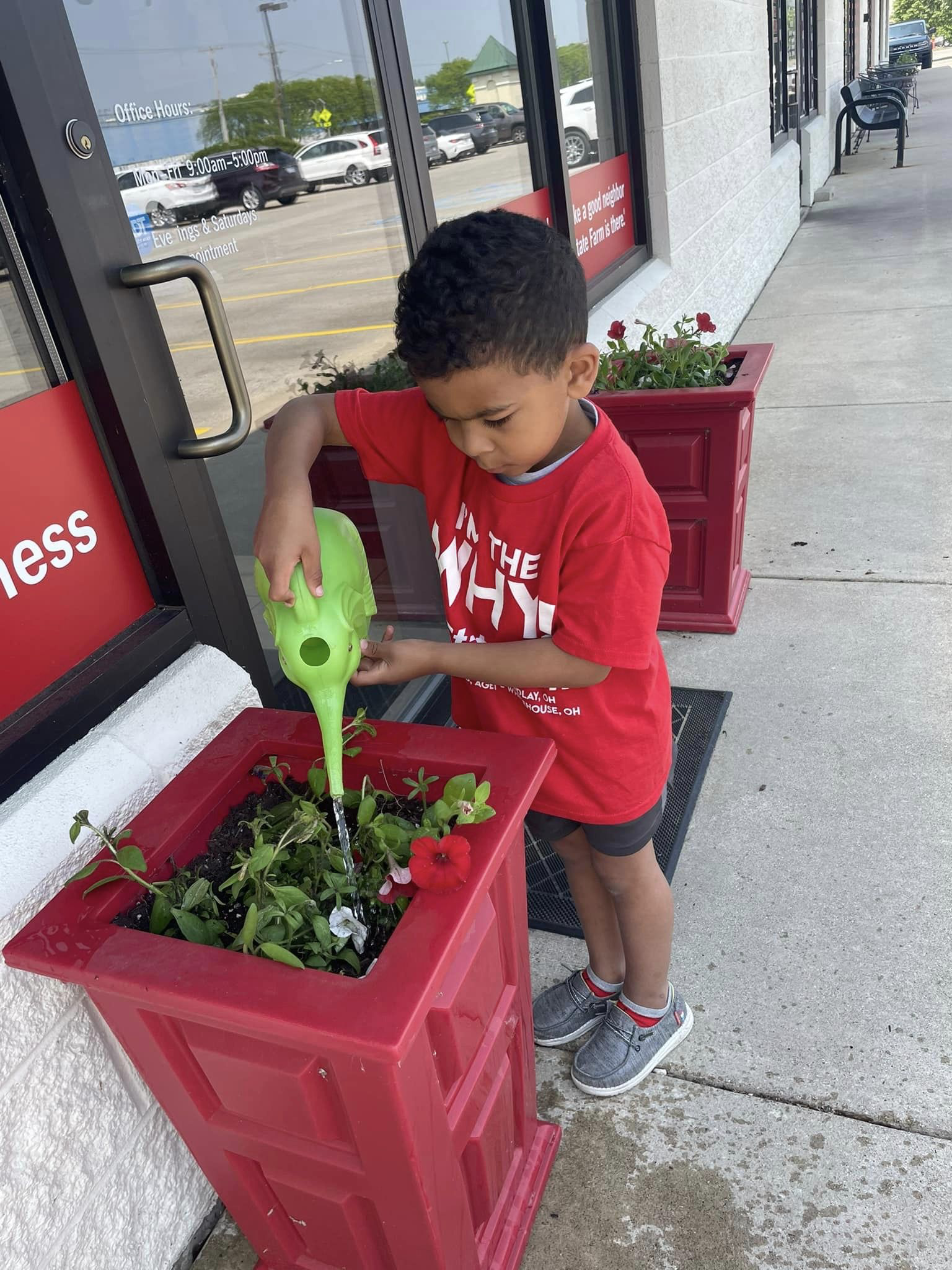 Andrew's green thumb in action