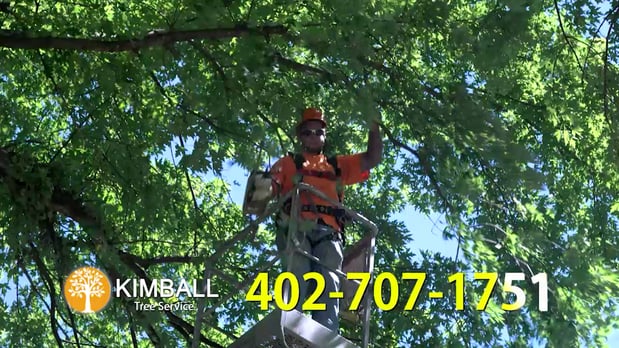 Images Kimball Tree Service