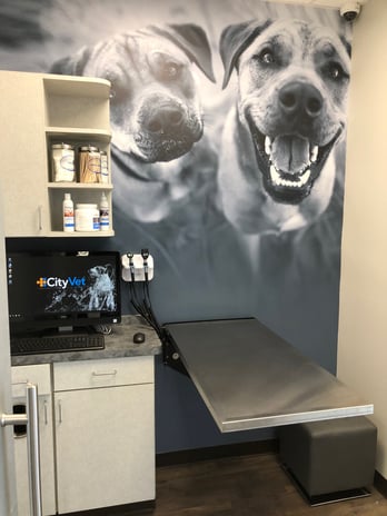 Images CityVet | Lovers Lane