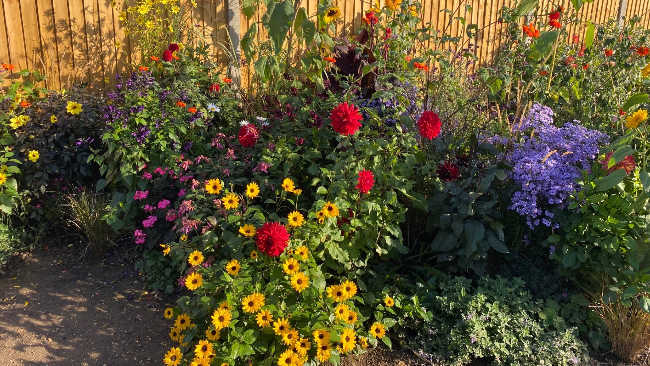 Images Steve Dean Gardening