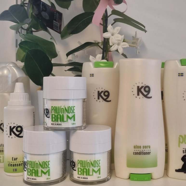 Images Lillys Tassar