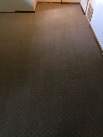Images Salerno Carpet & Upholstery Cleaning